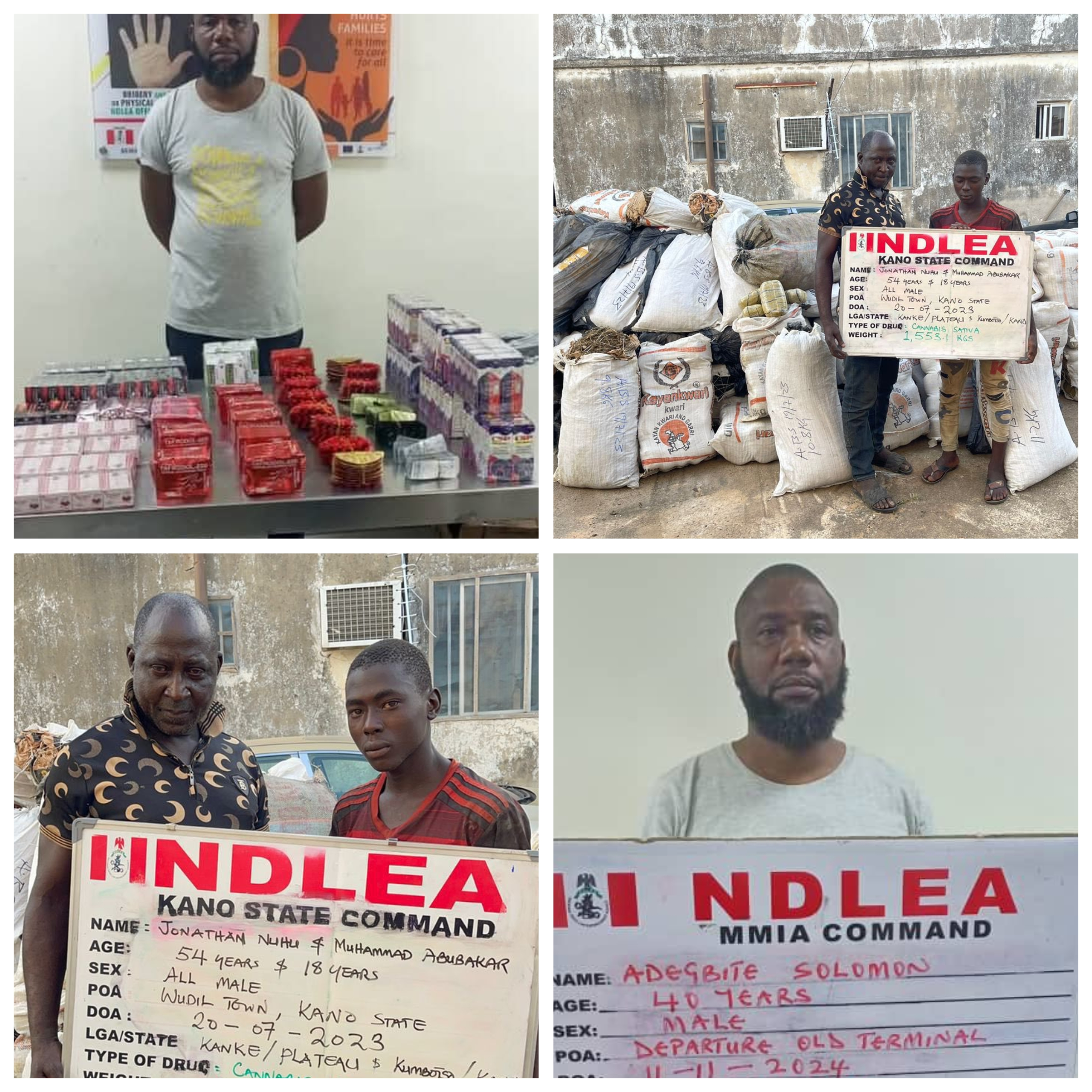 11 drug kingpins bag 254 years imprisonment as NDLEA secures 974 convictions in 3 months