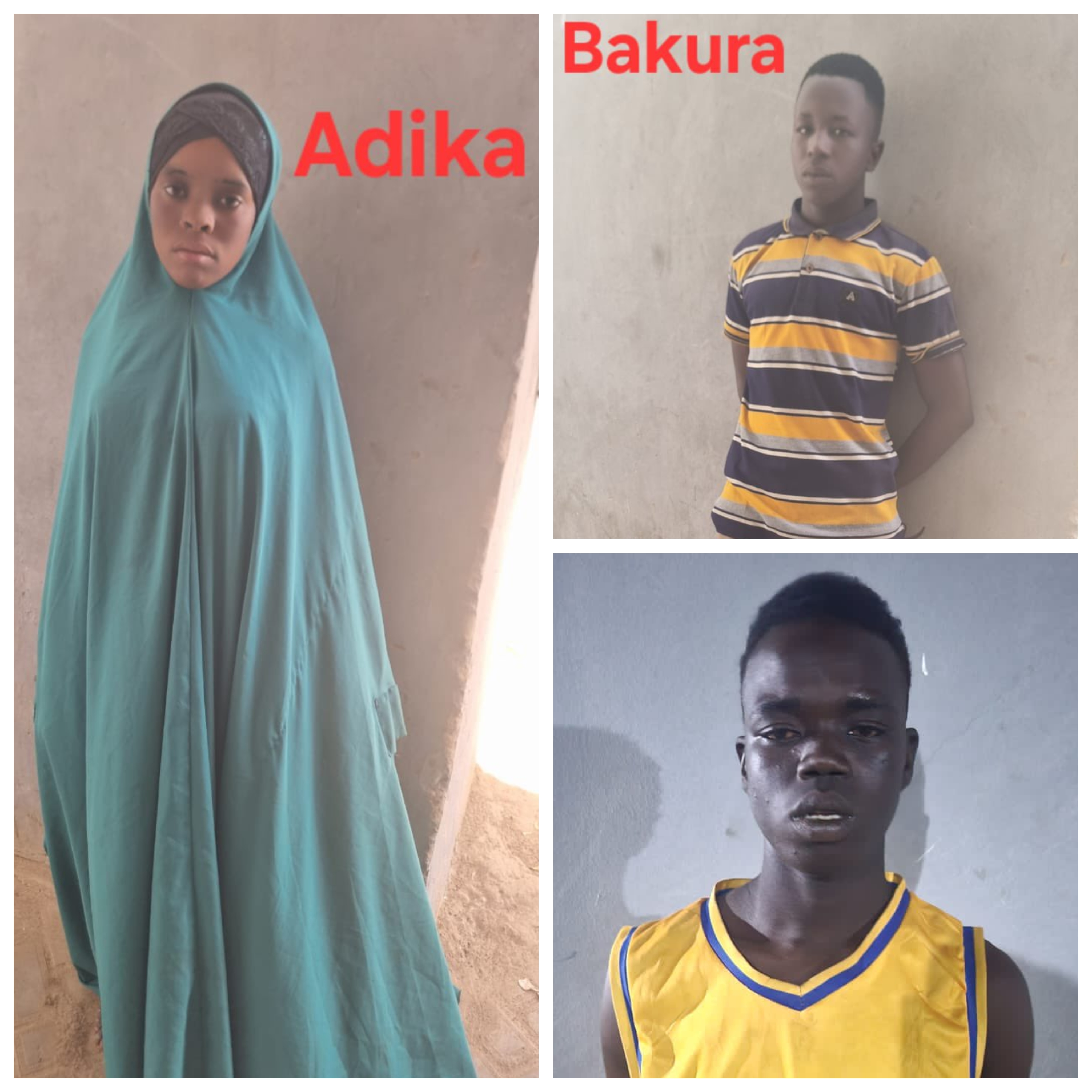 Troops arrest three suspects over alleged ammunition supply to terrorists in Yobe
