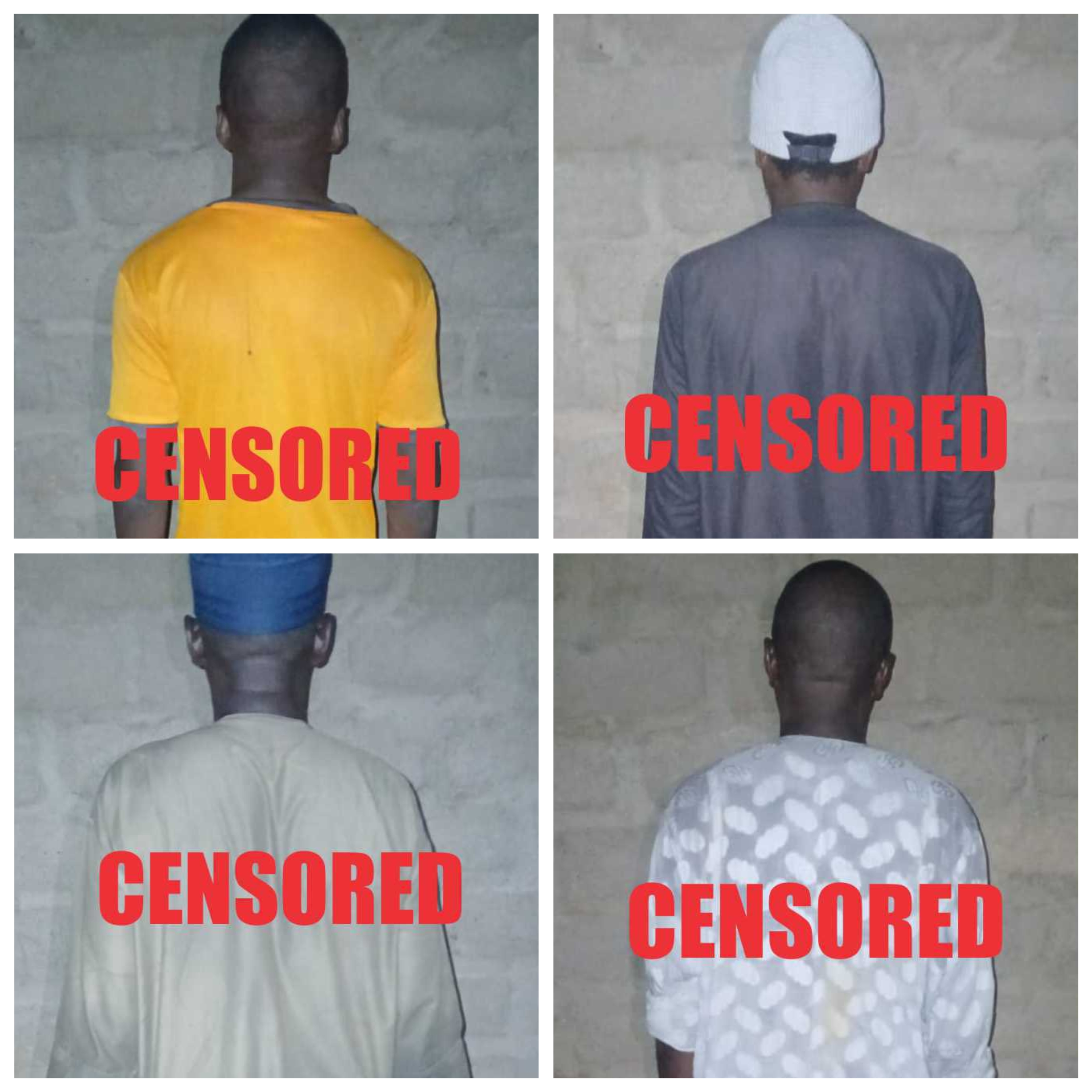 Top ISWAP leaders surrender to Nigeria military