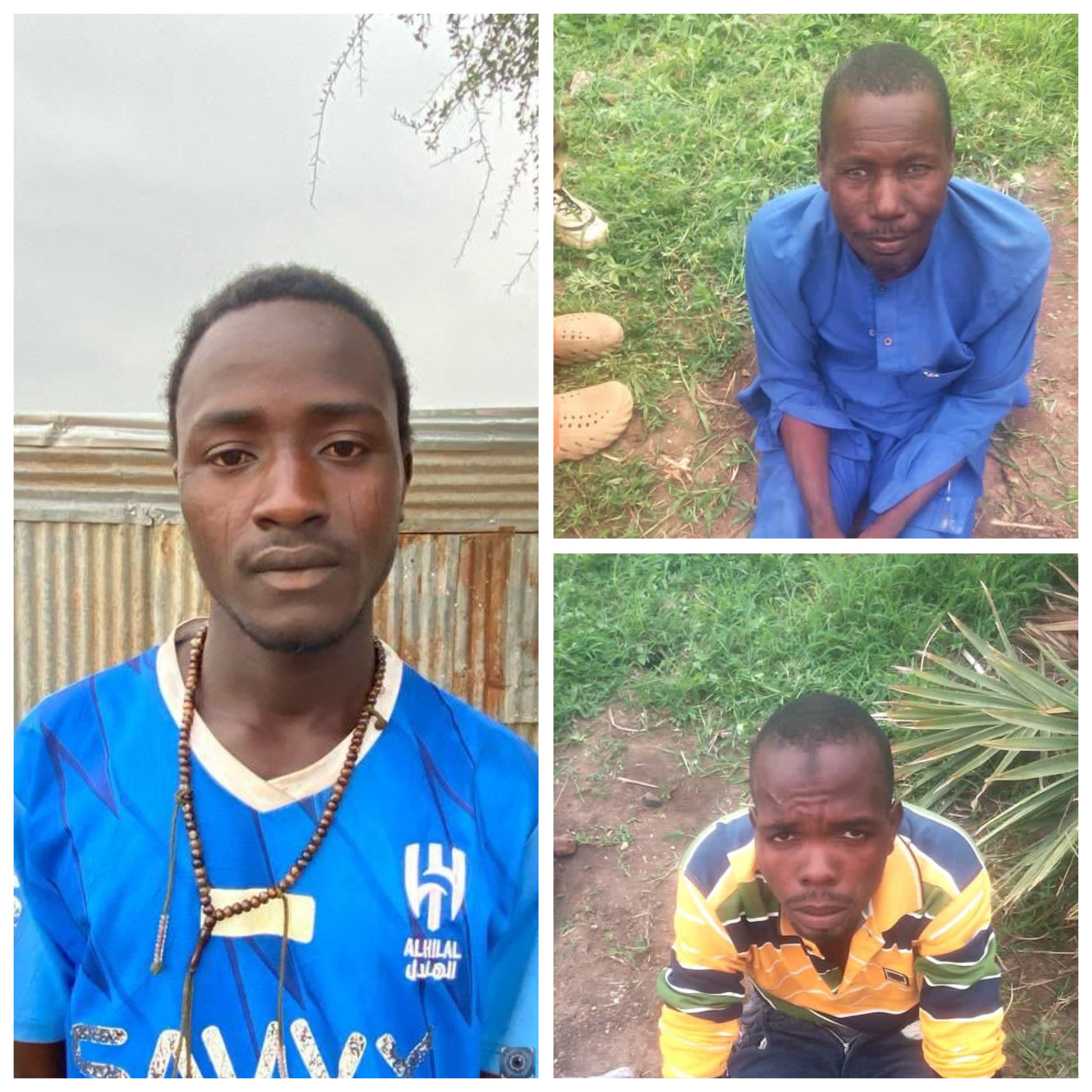 Troops arrest suspected ISWAP spy and two terrorist logistics suppliers in Borno