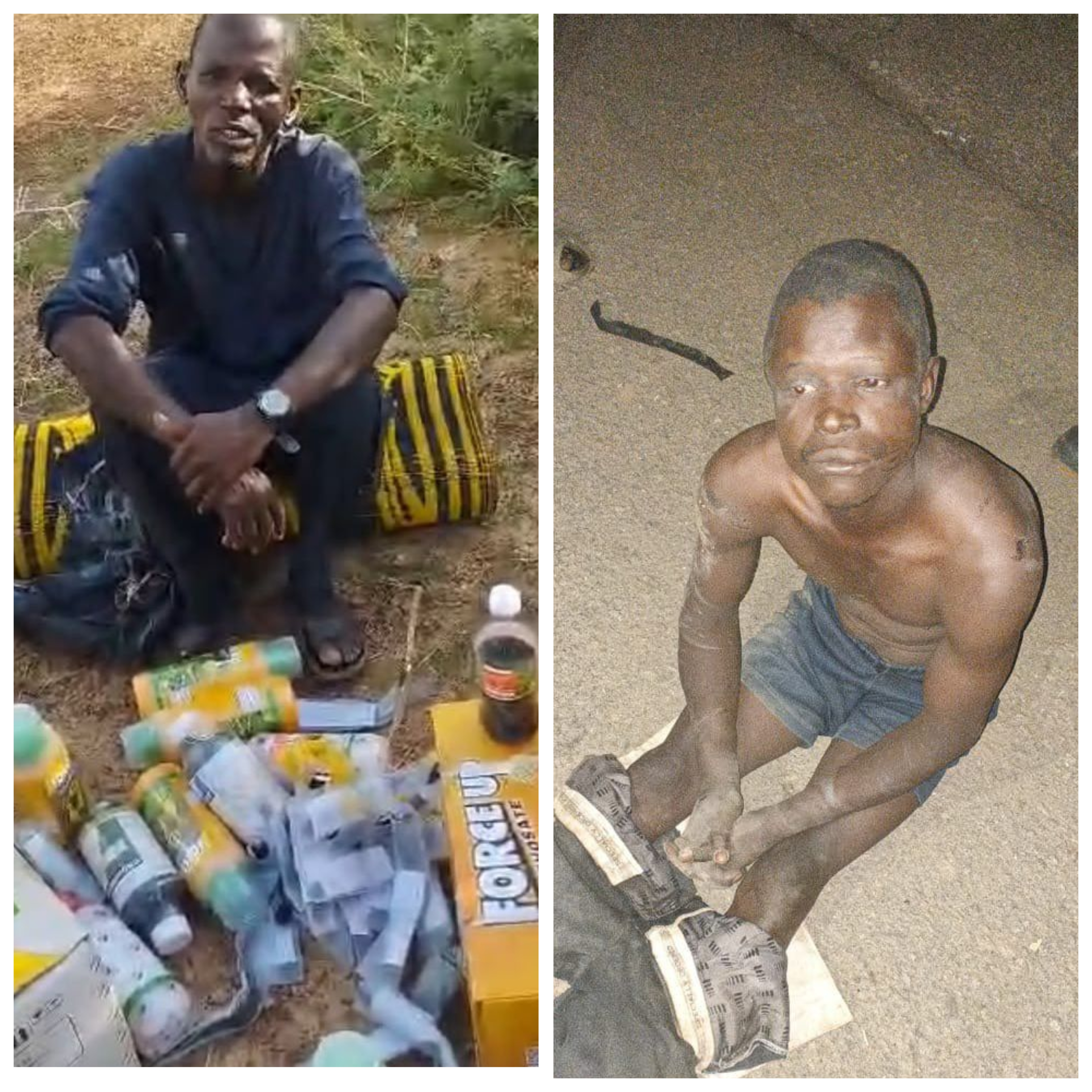 Troops arrest two suspected ISWAP informants in Borno