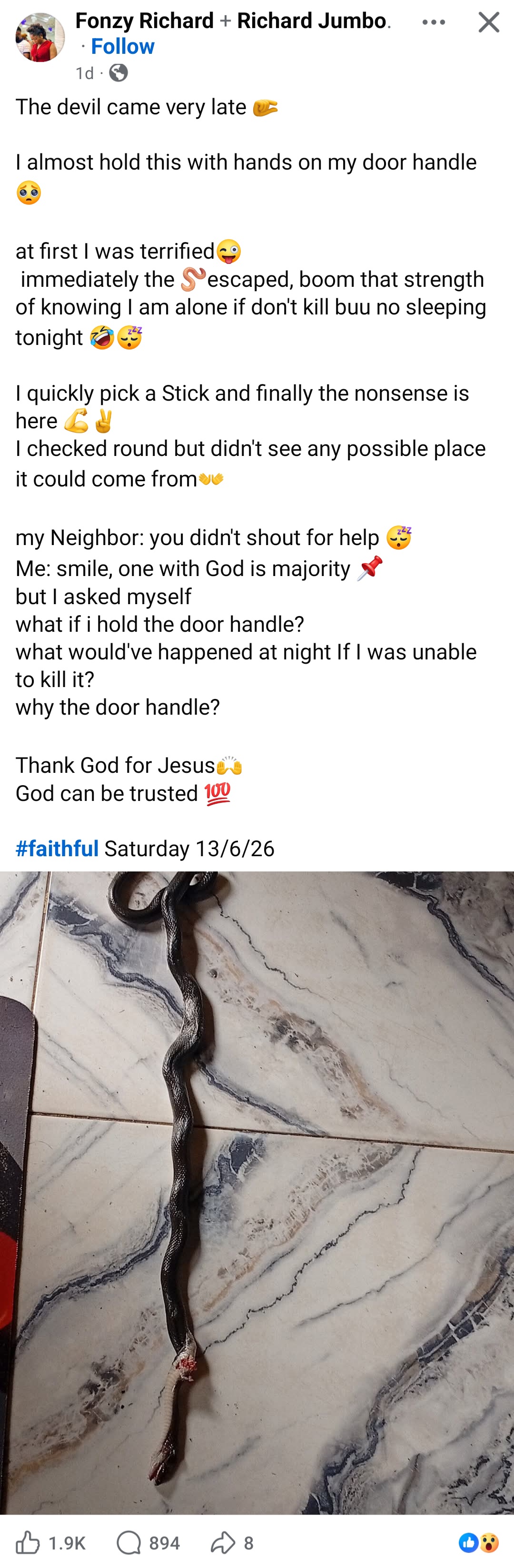 Woman thanks God for saving her as she k!lls snake coiled round her door handle