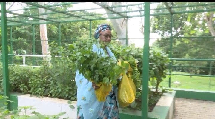 First Lady, Remi Tinubu, showcases vegetables she harvested from Aso Villa Garden