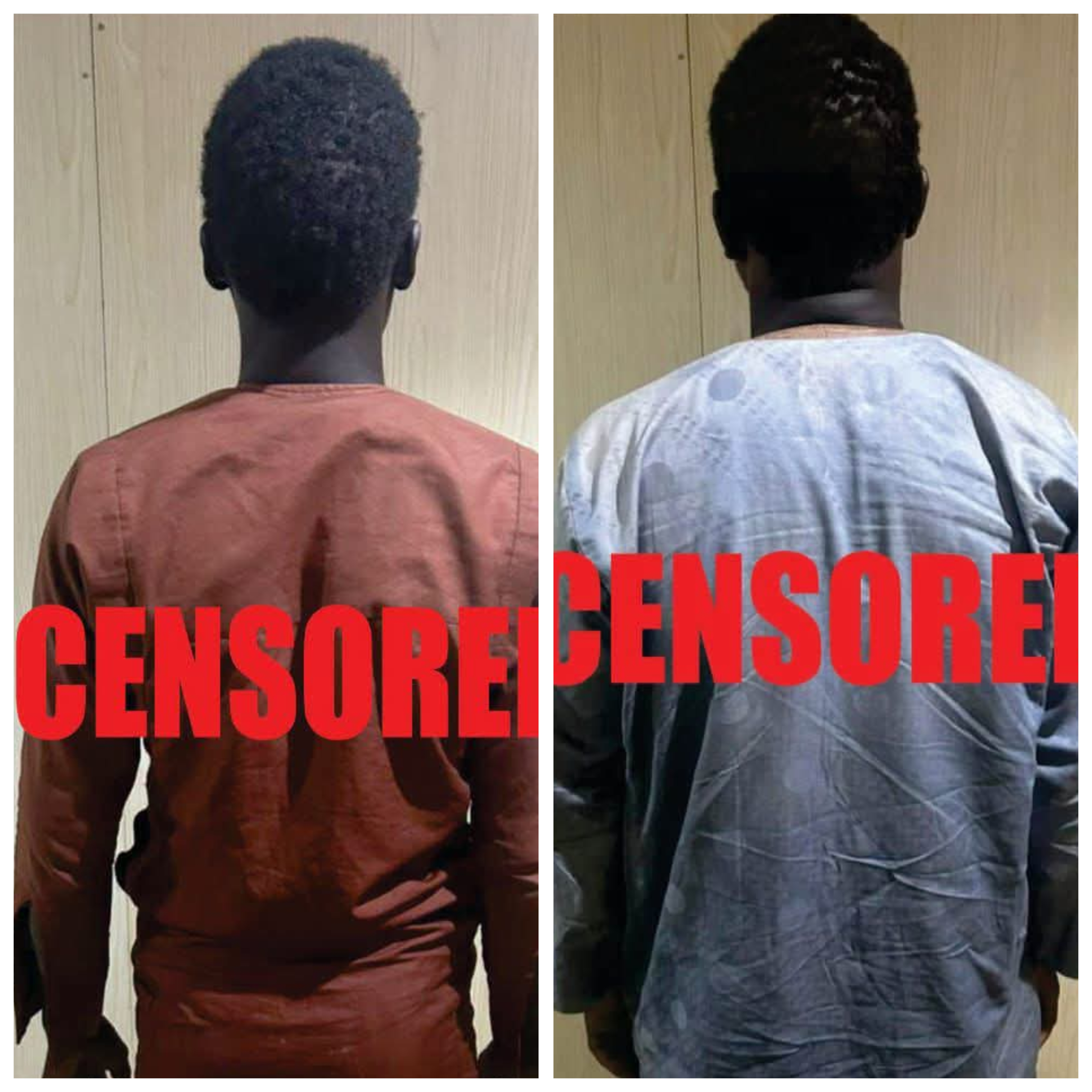 Two high profile terrorist commanders surrender to Nigerian Army troops